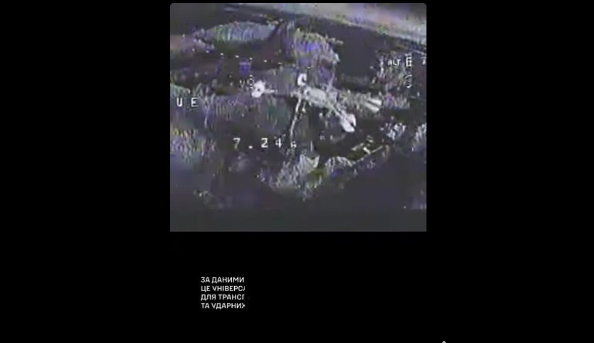 Бойцы ВСУ впервые сбили новый российский БпЛА "Бердыш" – видео перехвата 