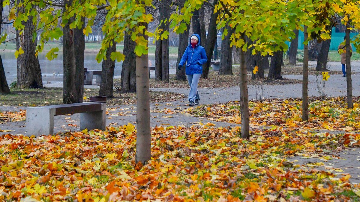 Волна потепления до +15: синоптики предупредили о резкой смене погоды