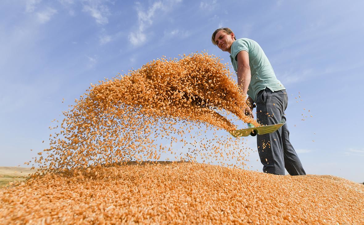 Кремль разгоняет мировую продовольственную инфляцию - цены на пшеницу растут