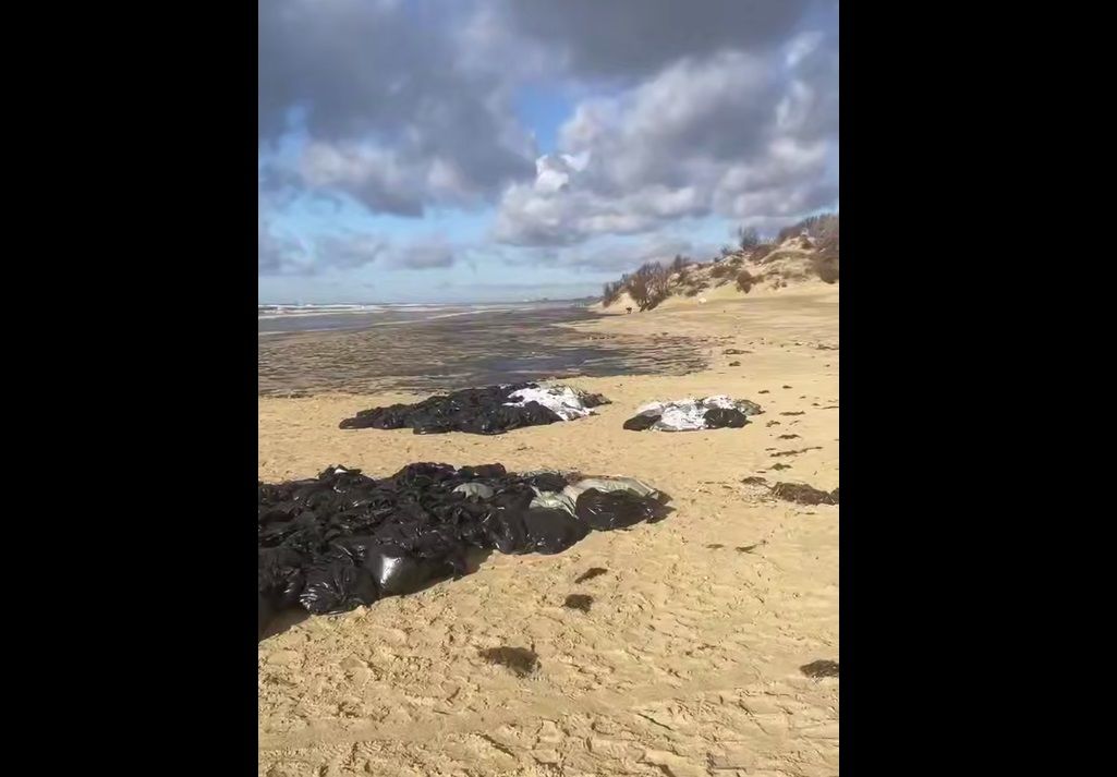 Пятно с мазутом быстро движется на юг России: СМИ узнали, что Кремль скрывает от россиян