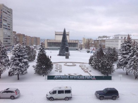 В центре Луганска установили новогоднюю елку