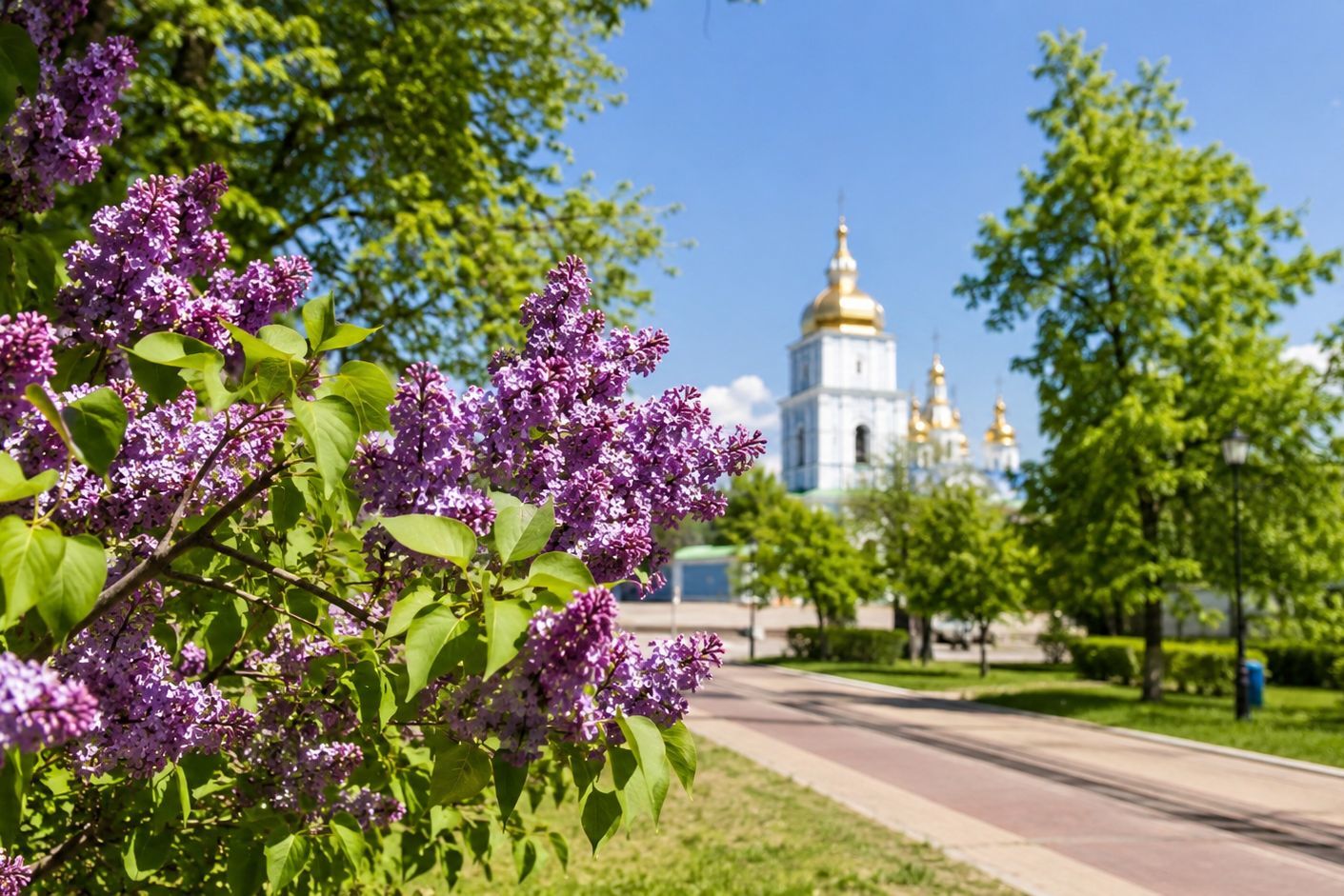 Солнце и комфортные +23°: каким будет первый день лета в Украине