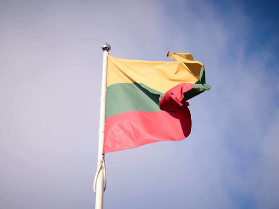 Отменить признание независимости Литвы: в Госдуме РФ зарегистрировали законопроект