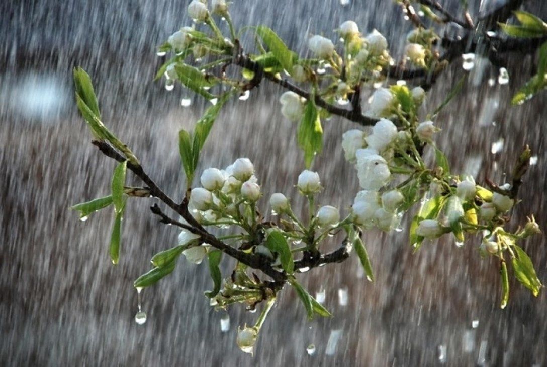 ​Не забудьте зонты: на выходных почти всю Украину зальют дожди с грозами