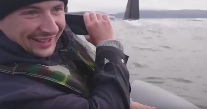 В России рыбаки обматерили напугавшую их атомную субмарину "Борю" (кадры)