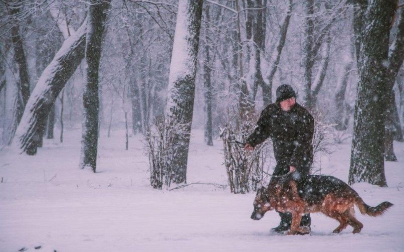 На Одессу обрушилась снежная стихия – город завалило снегом, кадры