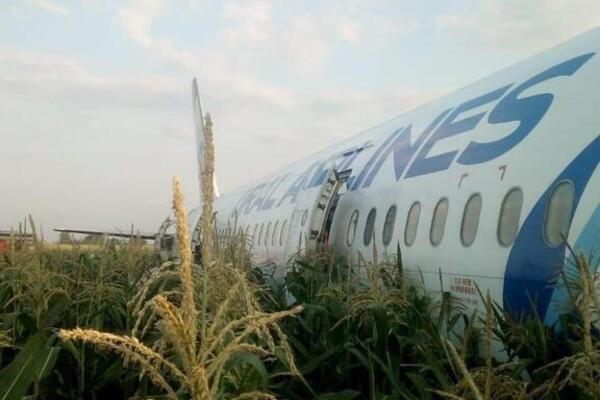 Крушение Airbus A321: жадные россияне поразили Сеть циничным поведением на месте ЧП