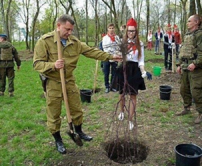 Конфуз главаря "ДНР": соцсети высмеяли глупое фото террориста Захарченко, где он сажает дерево корнями вверх