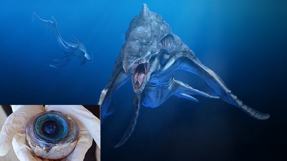 После сражения с инопланетным монстром на побережье Флориды выбросило глаз кита 
