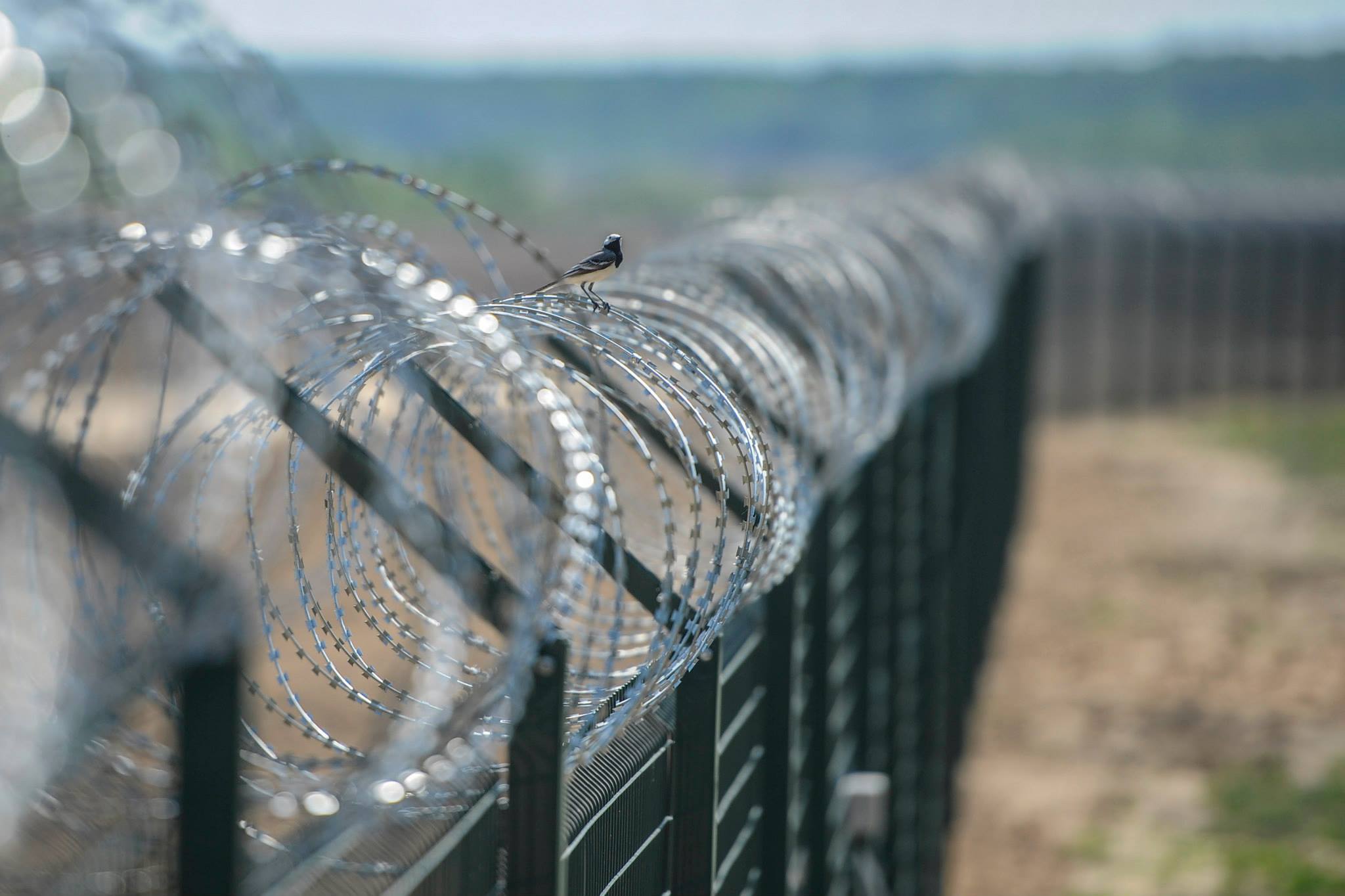 Оккупанты РФ построят забор на границе с аннексированным Крымом - Кремль выделил боле 200 млн рублей, чтобы отгородиться от Украины