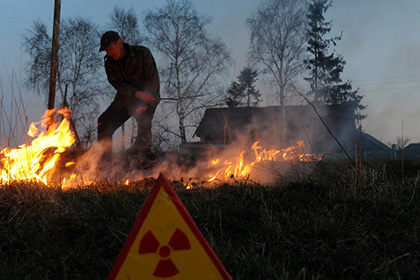 В Чернобыле продолжают тушить пожары, радиационный фон пока в норме