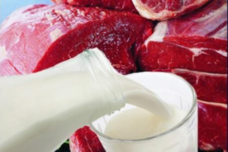 Украина готовит ответные меры Молдове за квоты на мясо-молочную продукцию