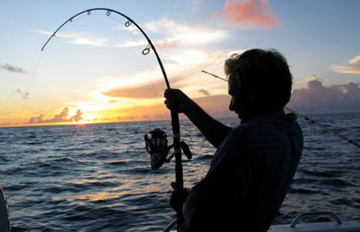 В США рыбак выловил гигантского сома, установив новый рекорд, кадры