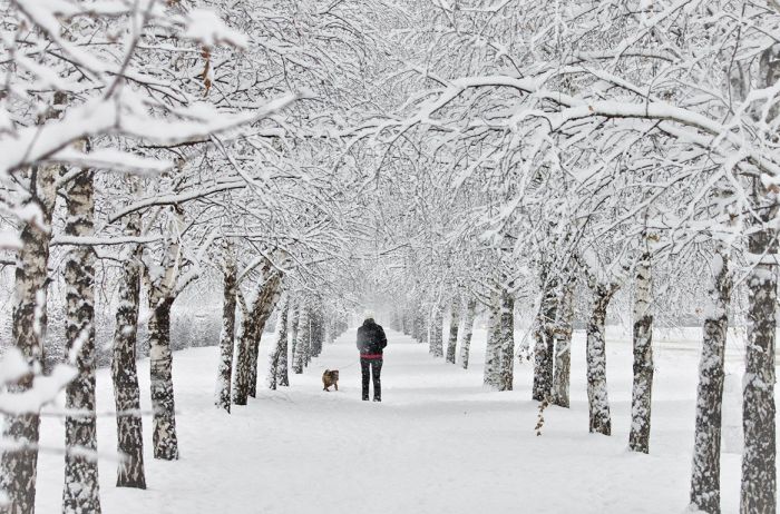 В Украину идет первый снег и похолодание: синоптики рассказали, какие области "засыпет" первыми