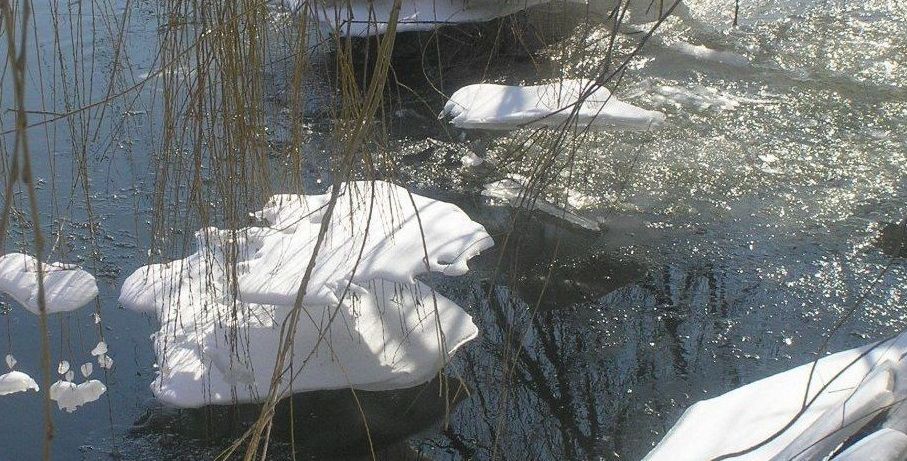 Весна среди зимы: в Украине холода скоро уступят место резкому потеплению