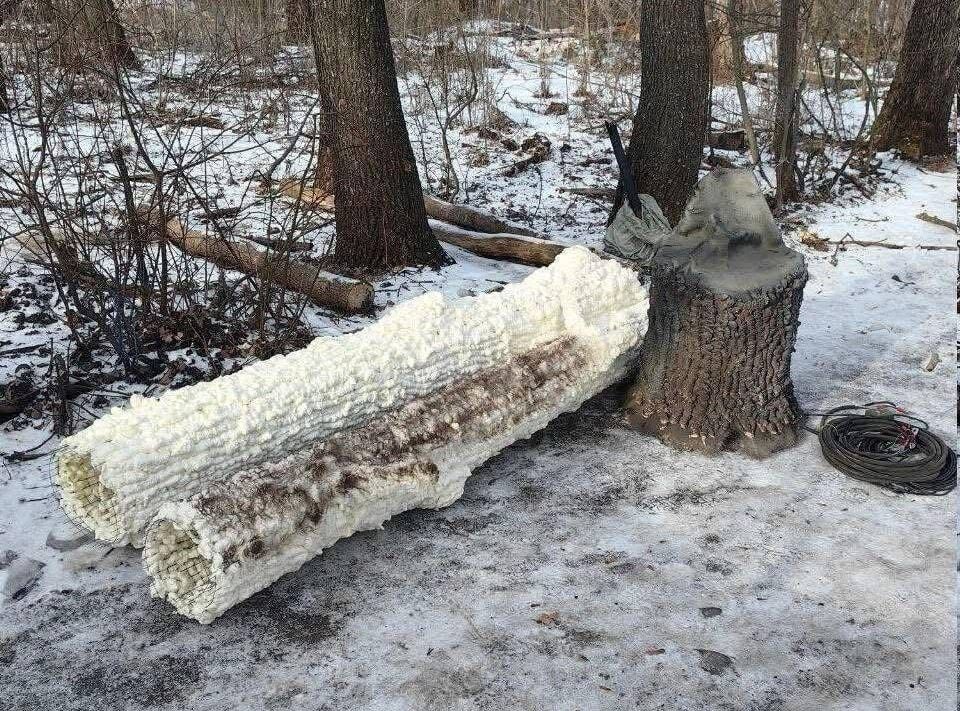 Российские оккупанты начали маскировать антенны под деревья – Флеш