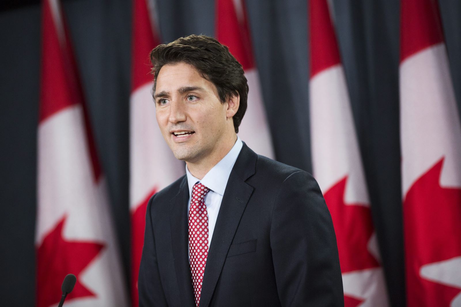 Стало известно о первых договоренностях Зеленского с премьером Канады