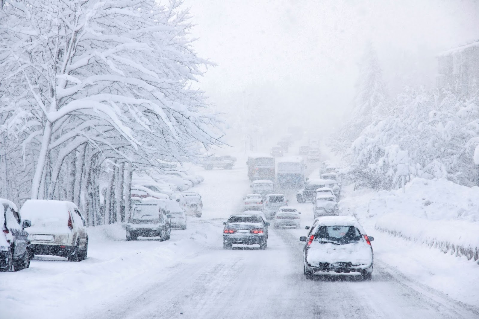 Прогноз погоды: на Украину надвигается снежный шторм, в полиции сделали срочное заявление для водителей
