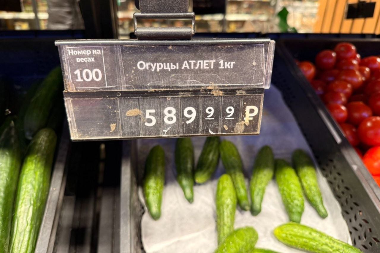 Огурцы как индикатор нищеты: в РФ цены овоща подскочили на 111%, Госдума советует растить на подоконнике