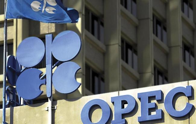 Страны-члены ОПЕК договорились о заморозке объемов добычи нефти: стоимость сырья вскоре может пойти вверх 