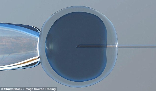 В США отредактировали ДНК человеческих эмбрионов