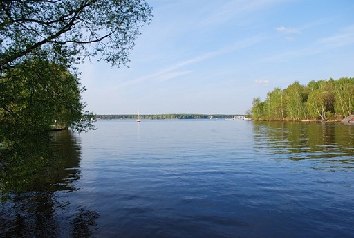 Пьяные гости всю ночь искали утонувшую в подмосковном водоеме невесту - спасателей вызвали лишь спустя пятнадцать часов 