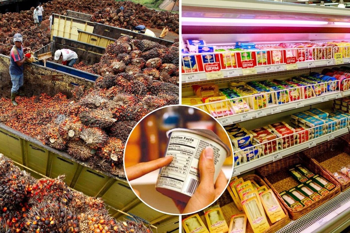 "Удар ниже пояса" по России: Индонезия ввела запрет на экспорт пальмового масла