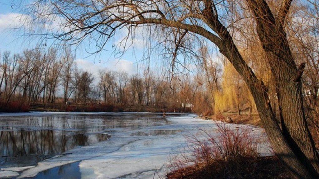 Диденко прогнозирует скорое потепление в Украине: "Морозы будут вытеснены за поребрик"