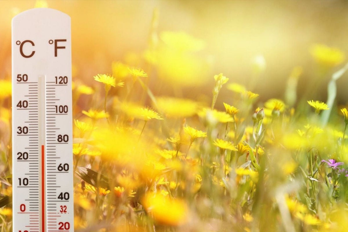 Температурные качели: синоптик предупредила о резкой жаре до +36°C