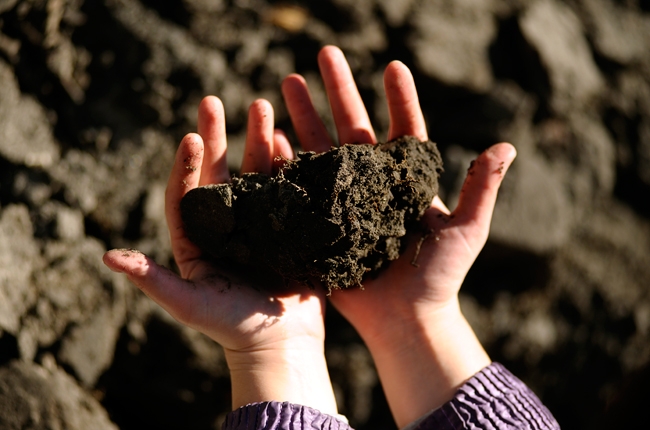 В ДНР обещали помощь пайщикам земли углем