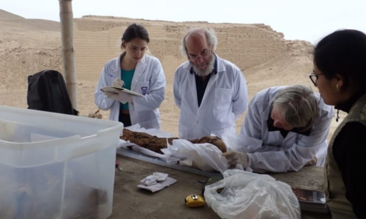 Ученых привела в замешательство находка при исследовании мумий в Перу: фото