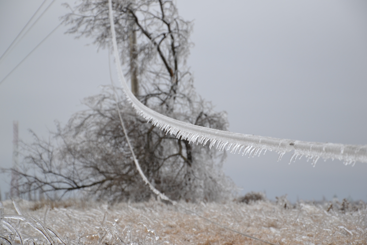 От мощнейшего ветра и бушующей снежной стихии пострадали жители 129 населенных пунктов в семи областях Украины - ГСЧС