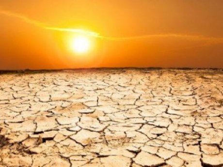 Ученые рассказали, как жара убьет людей: умрут все