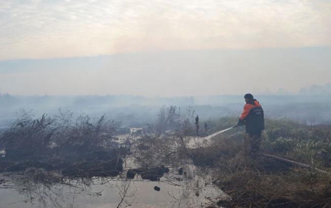 Пожар под Киевом: горящие торфяники еще продолжают тушить, - ГСЧС