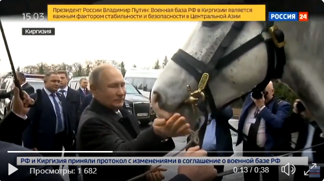 "Табуретки не было?" - в соцсетях ажиотаж после поступка Путина на видео с лошадью 