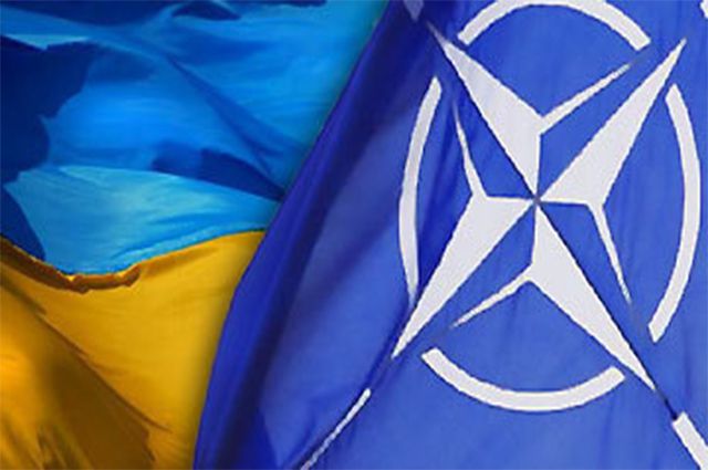 НАТО будет готовить сержантский состав украинской армии