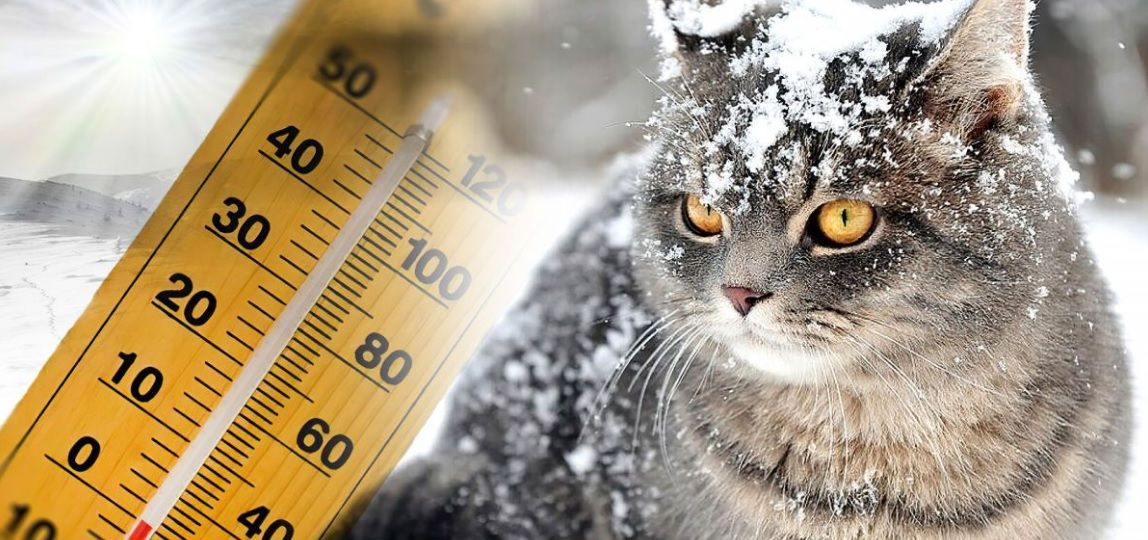 Прогноз погоды: где в Украине на выходных будет снег, а в каких регионах сохранится тепло