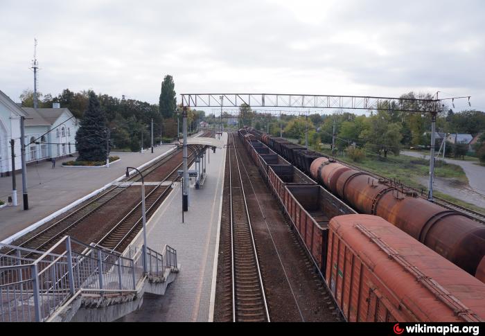 11-летняя девочка попала под колеса поезда в Полтавской области