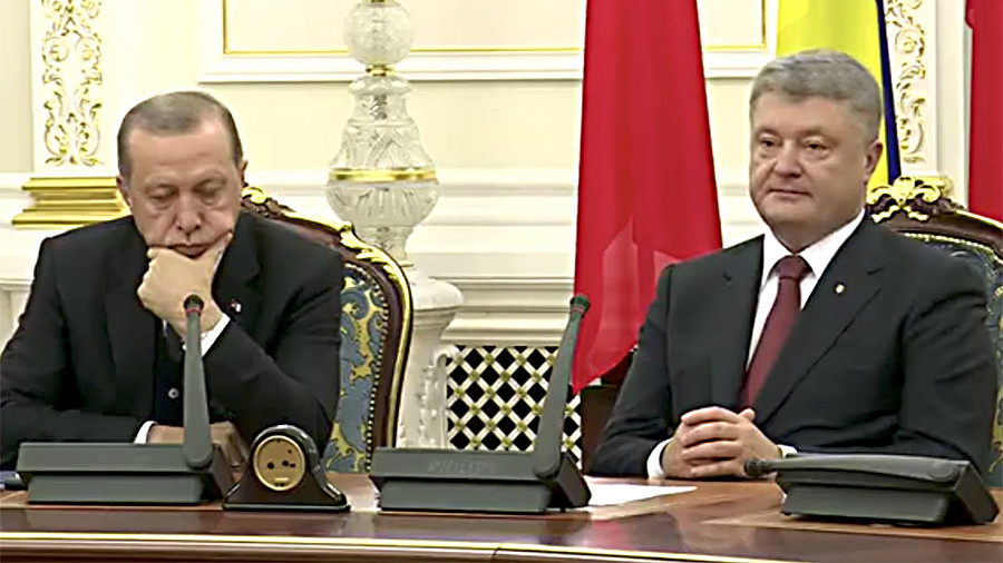 Эрдоган устал: камеры зафиксировали мучительную борьбу турецкого президента с сонливостью на встрече с Порошенко - кадры