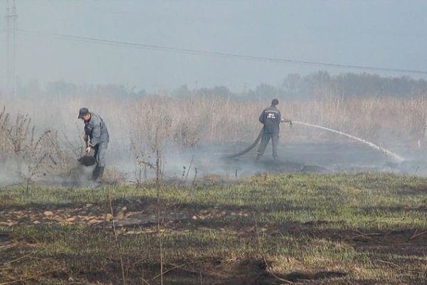 Житомирская и Волынская области охвачены едким дымом от горящих торфяников