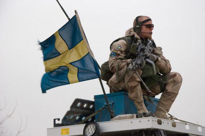 СМИ: Шведы собираются жестко уничтожать российские дроны, которые шпионили за учениями  их военно-морских сил