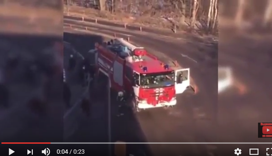 В российском аэропорту Домодедово пьяный водитель пожарной машины сбил 9 человек - есть жертвы: СМИ опубликовали первое видео