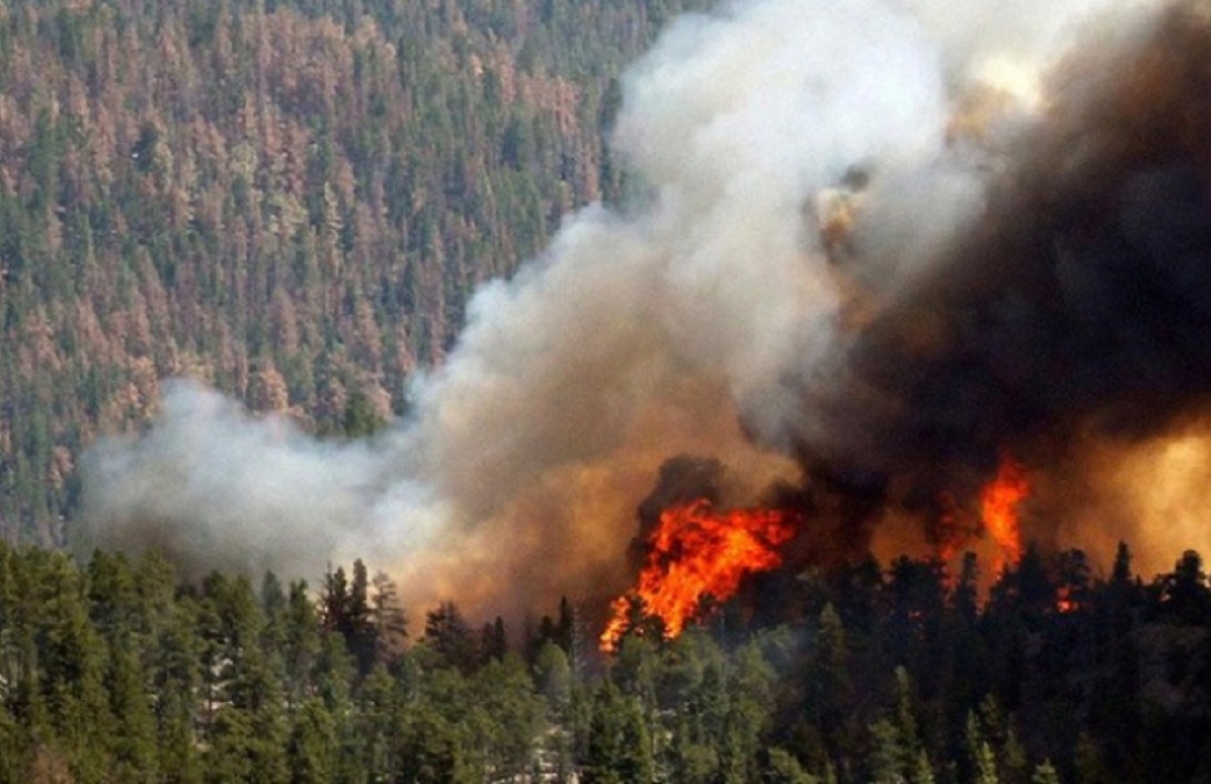 Леса Сибири горят со скоростью 15 тыс. гектаров за сутки: катастрофа в РФ достигла критической точки