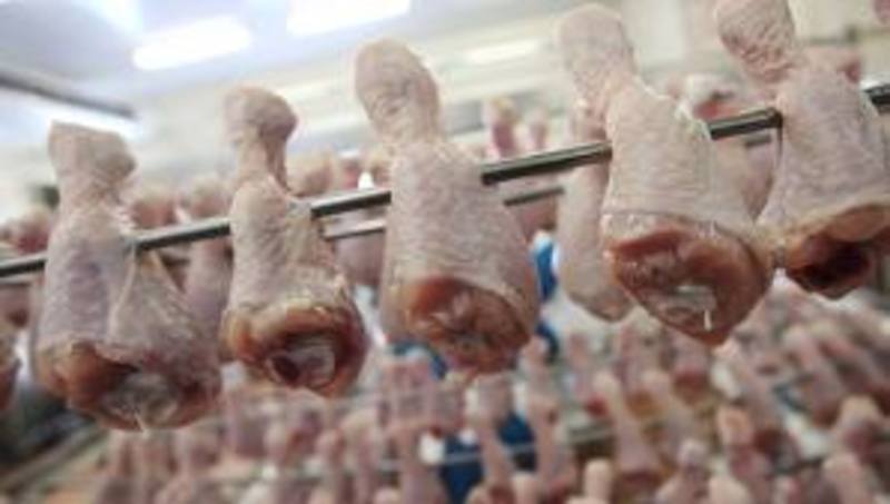В Украину импортировали зараженную курятину