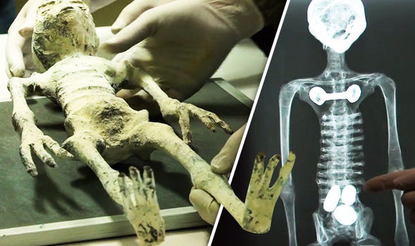 Мумифициированные инопланетные ребенок и беременная мать найдены в гробнице в Перу: эксклюзивные кадры