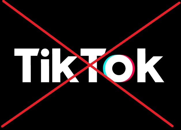 Зеленского просят запретить в Украине ТikTok - детский омбудсмен отреагировал