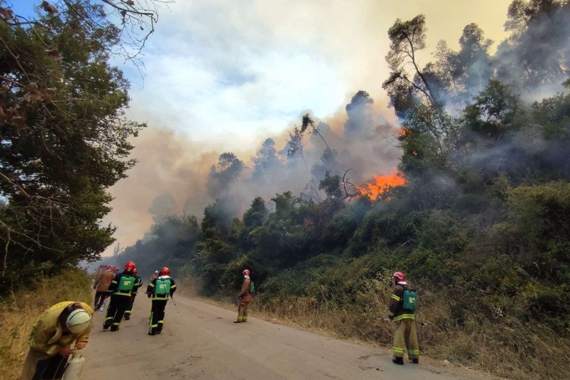 ​Борьба с пожаром в Греции: появились кадры, как украинские пожарные спасают от огня греческие села