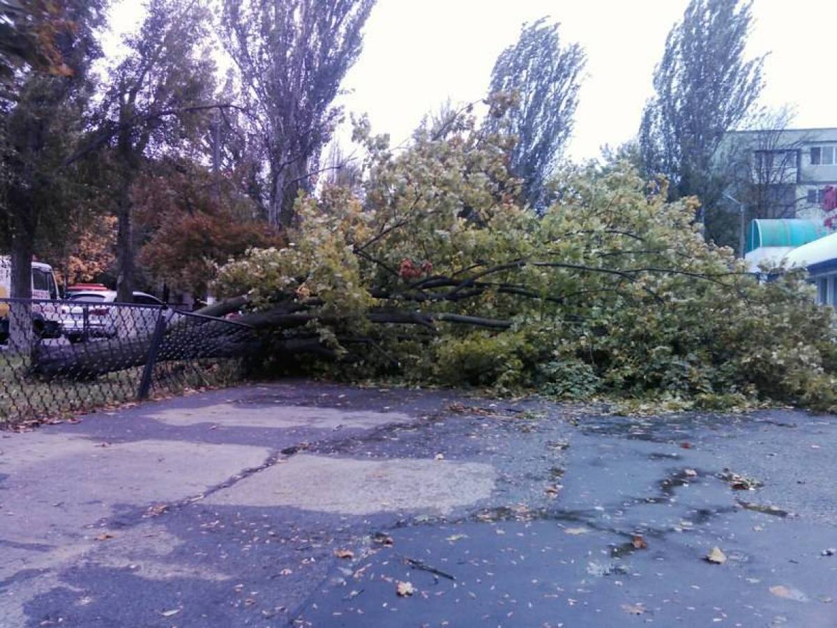 На Киев обрушилась стихия: мощный ураган валил деревья и столбы, кадры