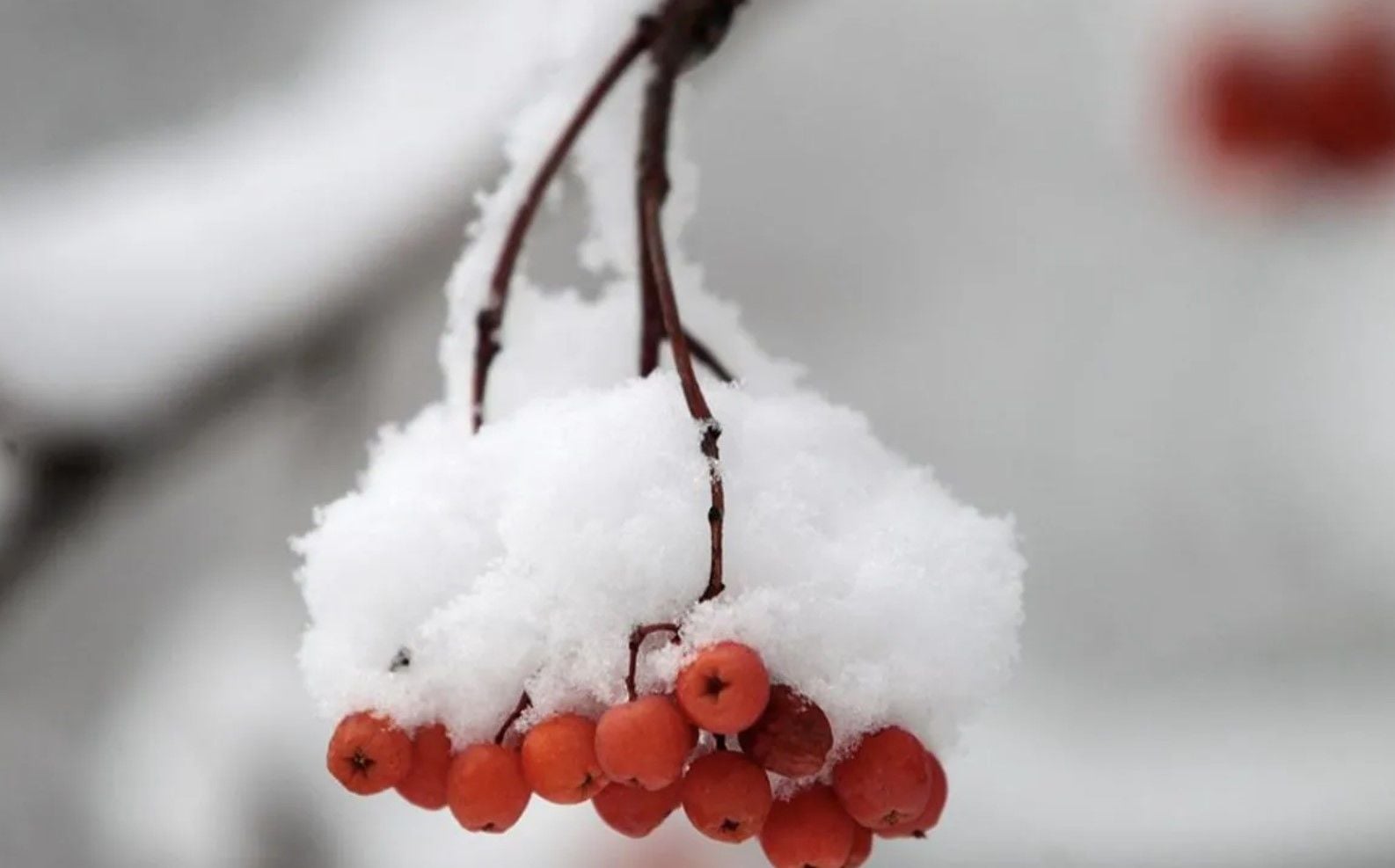 Украину ждет еще одна морозная неделя: в каких областях будет холоднее всего и где пройдет снег