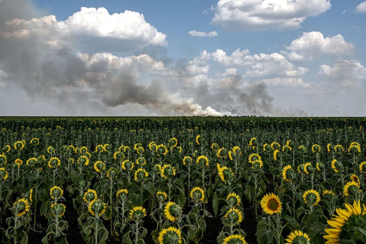 Издание Time отобрало 100 главных фото года: шесть украинских кадров о войне оказались среди лучших